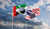 UAE to boost energy investments in US to $440bn by 2035