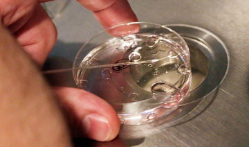 Dutch doctor ‘fathered 49 children’ in IVF scandal